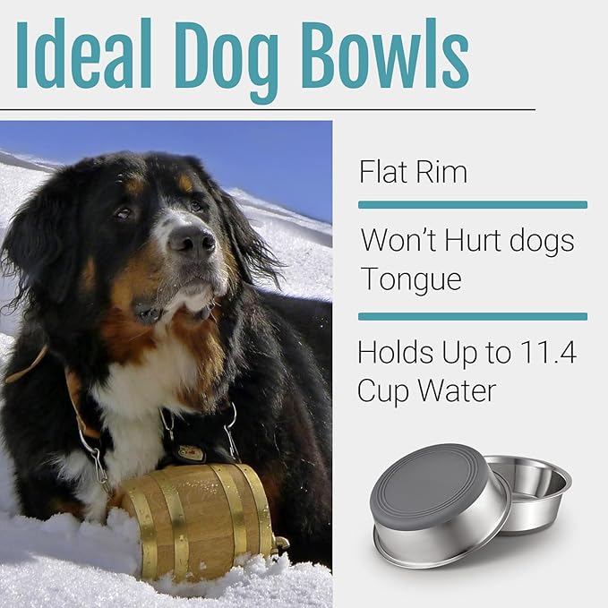 PEGYY11 Nonslip Stainless Steel Dog Bowls, 11.4 US Cup, 4 Count