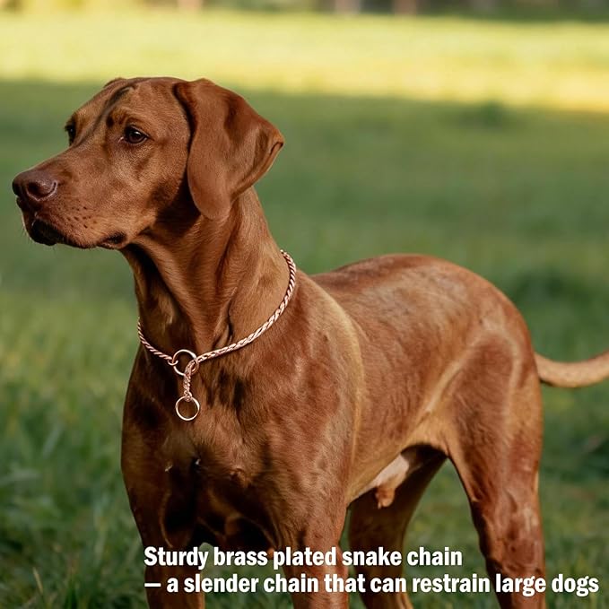 Heavy Duty Dog Choke Collar Slip Dog P Chain Snake Collar Plating Anti-Rust Dog Training Collars for Small Large Dogs Black/Gold/Silver/Rose Gold 15.5in-29.5in (27.5in, Silver)