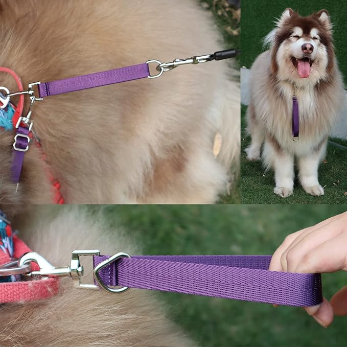 Traffic Dog Leash Dogs Training Leash Short Pet Lead Pets Traffic Grab Handle Dog Grab Tab Training Tab Handle Nylon Short Dog Lead (Rosered & Purple)