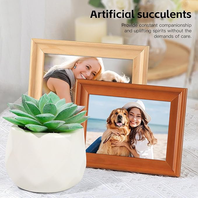 Loss of Dog Pet Sympathy Gift, Pet Memorial Gifts for Dogs, Loss of A Dog Sympathy Gift Baskets, Dog Passing Away Gifts, Loss of Pet Gift Box for Dogs Lovers Friends Family