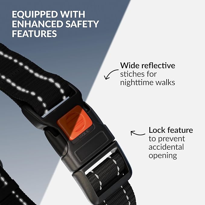 CollarDirect Martingale Dog Collar with Stainless Steel Chain and Quick Release Buckle - Reflective Collar for Large, Medium, Small Dogs - Black, Small (Neck Size 12"-15")