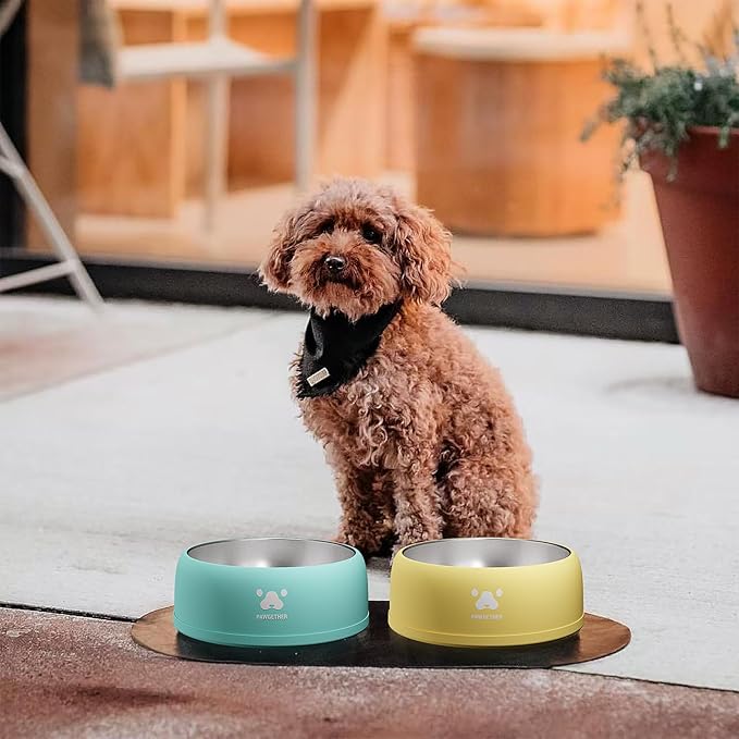 PAWGETHER® Stainless Steel Dog Bowls, Dog Food and Water Bowl Non-Slip Easy to Clean Dishwasher Safe for Puppy Small Medium Dogs Cats White 34oz