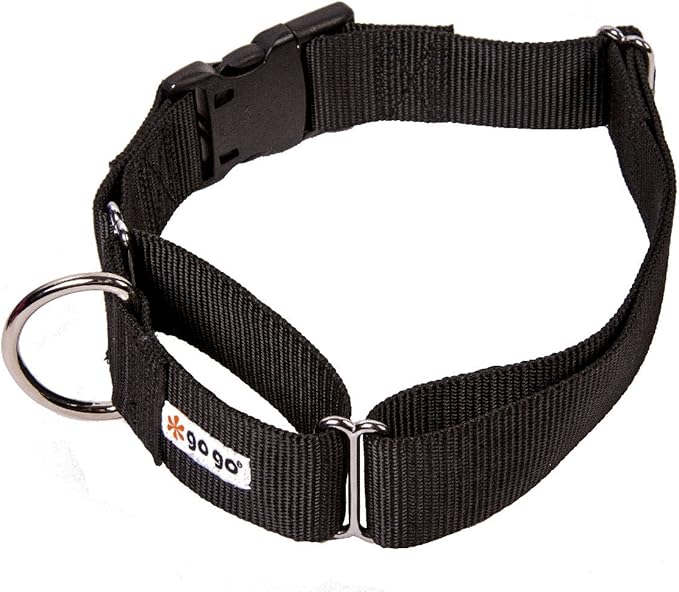 GOGO Pet Products Martingale Gentle Training Collar, X-Large, Black