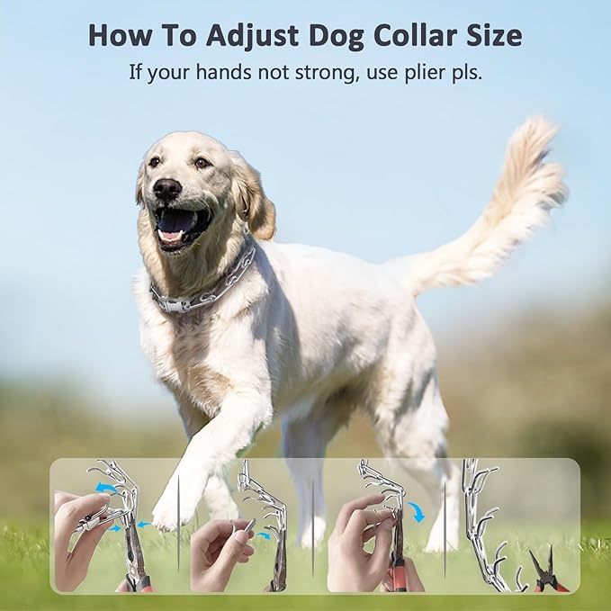 Dog Collar with Buckle Adjustable Dogs Collars for Small Medium Large Dogs (XL:4.0mm(Neck 22-26"))