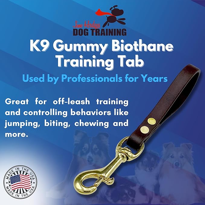 Biothane Training Tab Leash for Dogs, Brass Hardware, No Pull with Easy Grip Handle, Made in The USA, Professional Grade-Brown