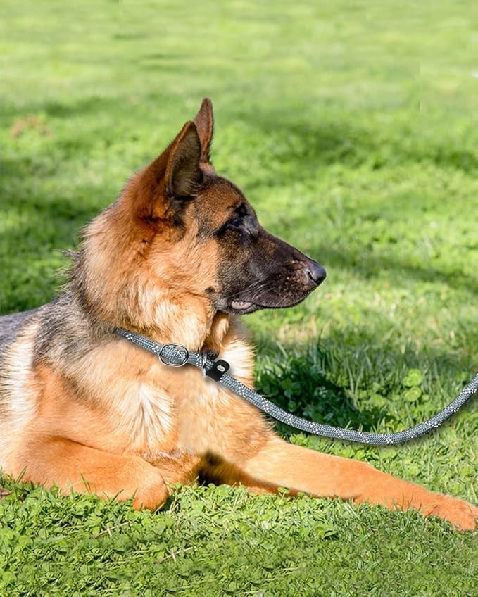 TagME Slip Leads for Dogs that Pull, 6 FT No-Pull Training Leash with Lock, Escape-Proof Design, Reflective & Padded Handle for Large Dogs, Gray