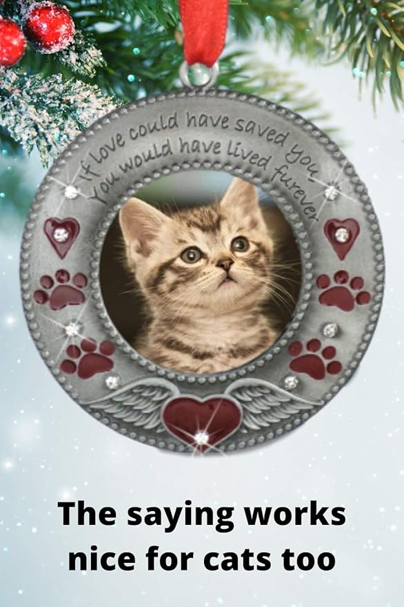 Pet Memorial Ornament - Dog or Cat - Enameled & Jeweled with Red Hearts, Angel Wings & Paw Prints - Bag Included - Choose The Customized Option and We Will Insert Your Photo - 3" D