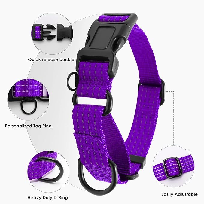 Martingale Collar for Dogs, Adjustable Soft Nylon Dog Collars with Special Design Cute Patterns (Purple, L (1" x 19"-26"))