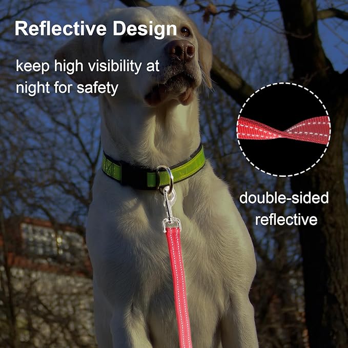 Nylon Short Leash 24 Inches Durable Dog Lead with Handle, Heavy Duty Dog Padded Handle and D-Ring for Control, Traffic Leash 2FT Long for Small to Large Sized Dogs Training Red