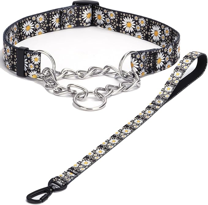 Martingale Dog Collar with Stainless Steel Chain - Limited Chain Cinch Training Collar for No Pull Training Dog - Flower Multicolor Cute Patterns - Premium No Slip Collar (M, Daisy Set)