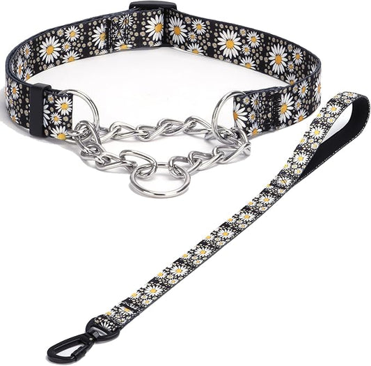 Martingale Dog Collar with Stainless Steel Chain - Limited Chain Cinch Training Collar for No Pull Training Dog - Flower Multicolor Cute Patterns - Premium No Slip Collar (XL, Daisy Set)
