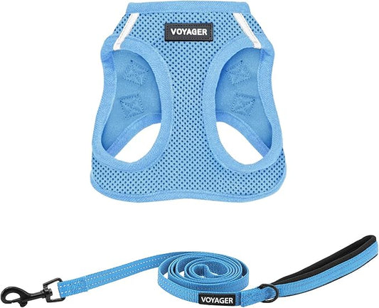 Best Pet Supplies Voyager Step-in Air All Weather Mesh Harness and Reflective Dog 5ft Leash Combo with Neoprene Handle, for Small, Medium and Large Breed Puppies - Set (Baby Blue), Large