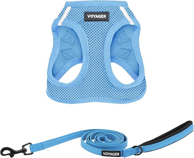 Best Pet Supplies Voyager Step-in Air All Weather Mesh Harness and Reflective Dog 5ft Leash Combo with Neoprene Handle, for Small, Medium and Large Breed Puppies - Set (Baby Blue), Medium