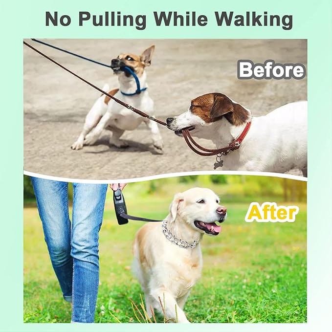 Prong Training Collar for Dogs, Adjustable Dog Pinch Collar with Quick Release Buckle, No Pull Collar for Small Medium Large Dogs, Extra Link and Caps