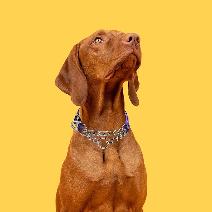 Martingale Collar for Dogs with Steel Chain, No Pull Slip Cinch Choker Choke Collar Training Escape Proof Heavy Duty Dog Collar for Small Medium Large Pet Boy Male Dogs,