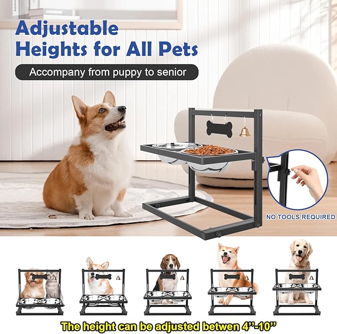 Elevated Dog Bowls for Medium and Small Dogs, 5 Adjustable Height, Raised Dog Bowl Stand with 2 Stainless Steel Dogs Food Bowls, Metal Strong Pet Bowls Elevated