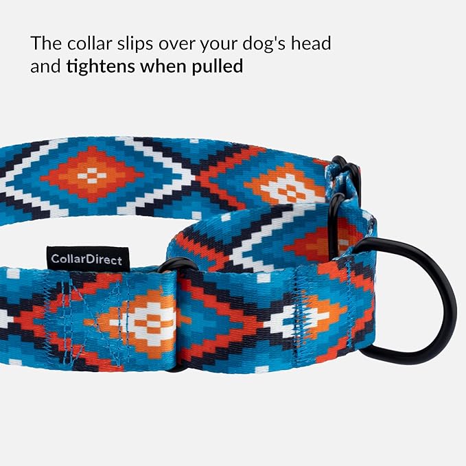 CollarDirect Aztec Martingale Collars for Dogs Heavy Duty Tribal Pattern Safety Nylon Training Collar Large Medium Small (Blue Geometric, L, Neck Size 15"-20")