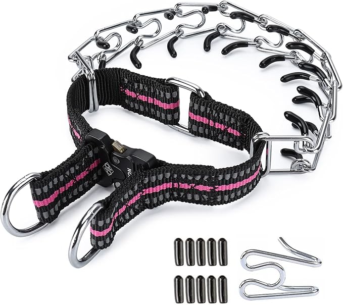 Pinch Collar for Dogs Adjustable Dog Training Collar with Comfortable Rubber Tip and Quick Release Buckle for Small Medium Large Dogs (Medium, Purple)
