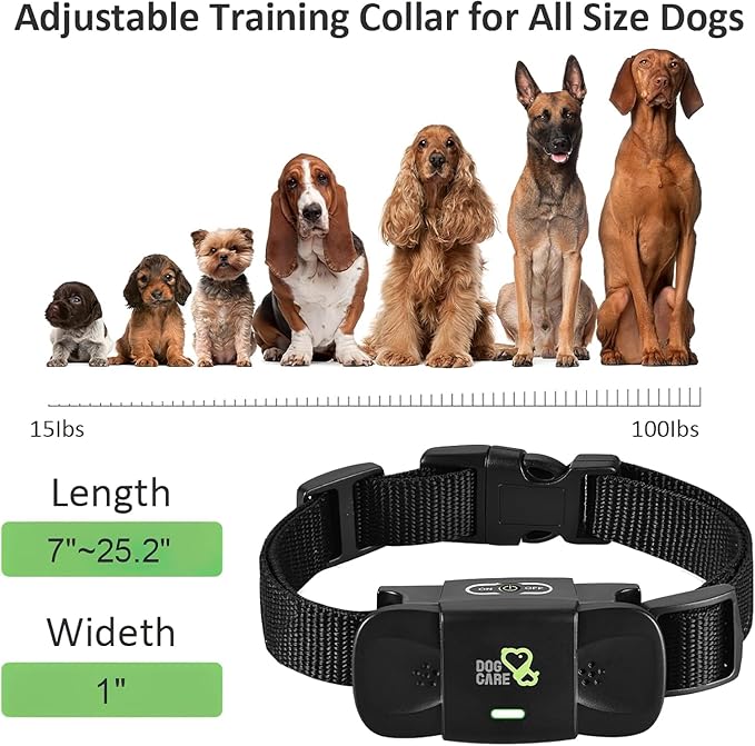 DOG CARE Shock Collar Receiver for Medium Large Dog, Long Remote Range, Vibration, Beep, 0-99 Adjustable Shock Levels, Work with DOG CARE TC01 Series from July 2025 Onwards, Collar Only