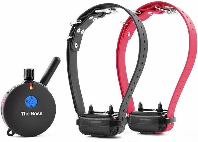 Educator E-Collar Humane Dog Training Collar with Remote, 100 Safe Tapping Stimulation Levels, Night Light, Waterproof, Rechargeable, 1 Mile 2 Large Dogs, Black