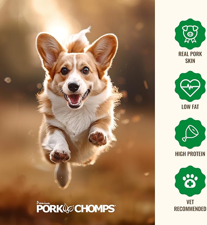 Pork Chomps Roasted Pork Skin Dog Chews, 6 Inch Rib Shapes, 10 Count, Pack of 1 - Long-Lasting Treats for Dogs - High Protein, Rawhide-Free, Low Fat, Healthy & Delicious Chews