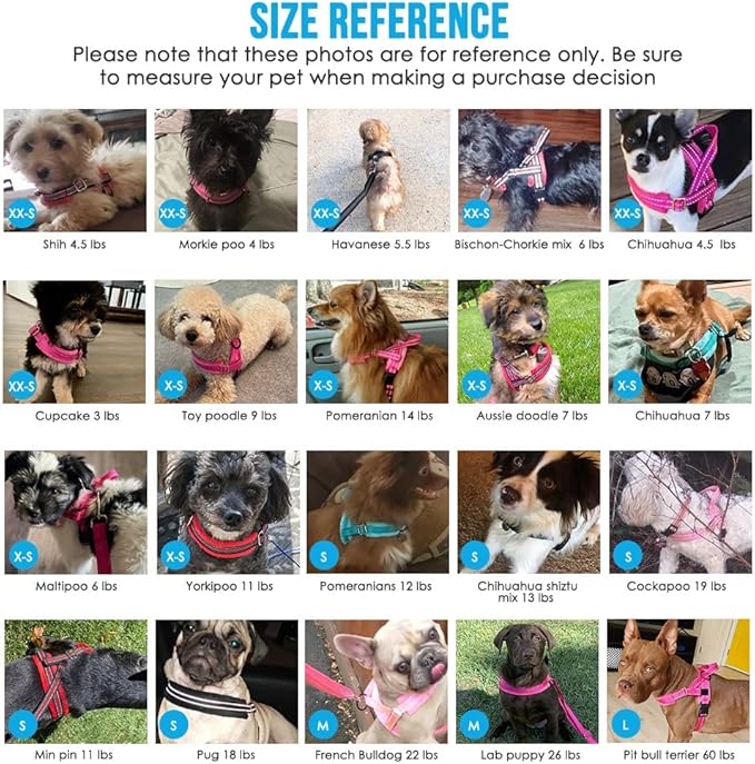 Lukovee No Pull Dog Harness and Leash Set, Soft Padded Small Dog Harness, Neck & Chest Adjustable Reflective Vest Puppy Harness with 4ft Lightweight Anti-Twist Dog Leash for Small Dogs (XS, 01-LBL)