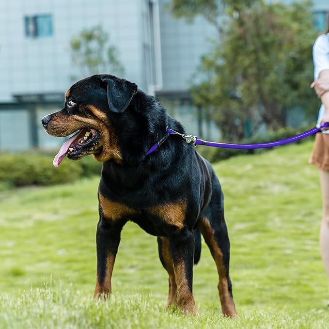 Dog Leash, Braided Rope Traction – Walking Training Lead for Medium/Large Dogs ((1/2") x 6FT, Purple)