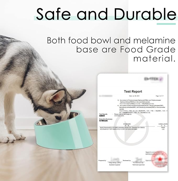 SuperDesign Mess Free 15° Slanted Bowl for Dogs and Cats, Tilted Angle Bulldog Bowl Dog Feeder, Non-Skid & Non-Spill, Easier to Reach Food L/2 Cup Teal