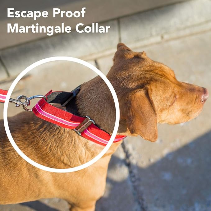 If It Barks - 1.5" Martingale Collar for Dogs - Quick Snap Release Buckle - Adjustable - Nylon - Strong and Comfy - Ideal for Training - Made in USA - Large, Patriotic