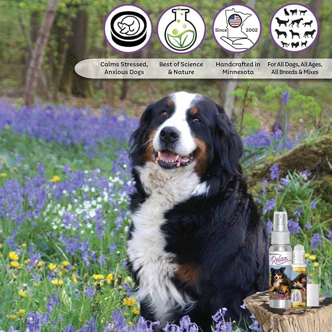 The Blissful Dog Bernese Mountain Dog Relax Dog Aromatherapy Spray for Anxiety