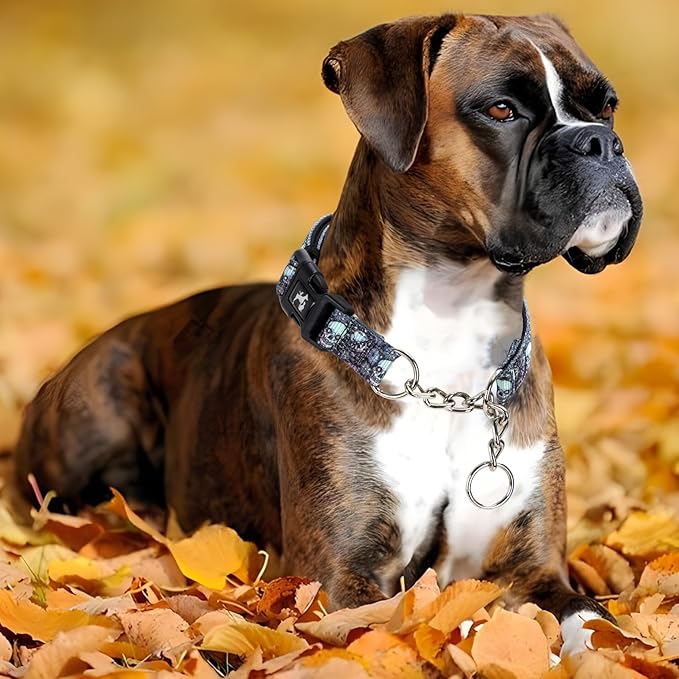 Martingale Collar - Reflective Nylon with Padded Comfort & Quick Release Buckle - Skull Design, No Slip Choke Heavy Duty Collar for Safe Training, Walking & Nighttime Use XL