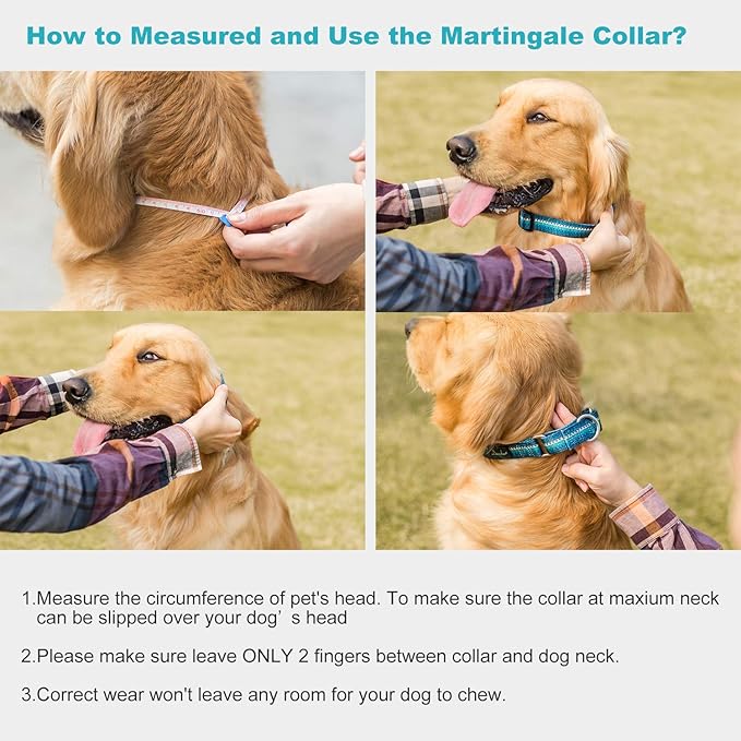 Martingale Dog Collar No Pull Pet Collar Heavy Duty Dog Martingale Collars Silky with Unique Geometric Pattern for Medium and Large Dogs (Large, Turquoise)