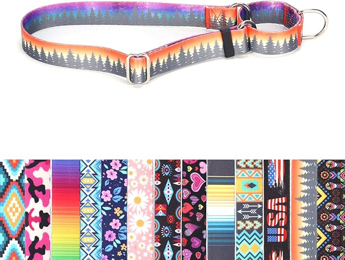 Choke Collar for Dogs, No-Slip Escape Proof Choke No Pull Cinch Soft Nylon Dog Training Martingale Collars Adjustable for Small Medium Large Breed Pet Dogs, Orange Forest L
