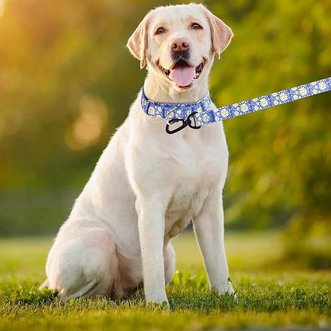 Martingale Collar for Medium Dogs, Girl Dog Collar with Daisy Flowers, Heavy Duty No Pull Dog Collar Floral Design Dog Training Collar, Perfect for Training, Walking, Hunting (Dark Blue + Leash, M)
