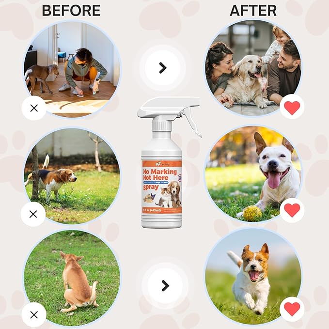 Qucship Dog & Pee Stop Spray – 8oz Dual Action Training Solution - Anti Pee Spray for Dogs Inside - Puppy Pee Spray Training