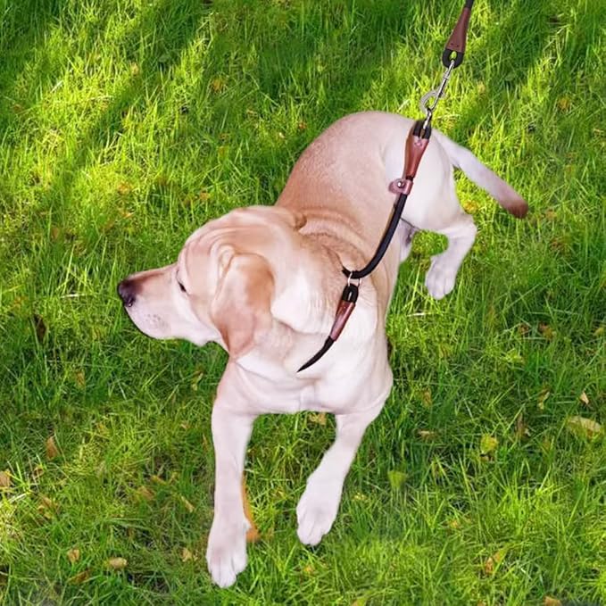 MayPaw Slip Collar Nylon Rope Adjustable Collar for Dog Training- No Pull Round Martingale Dog Collars for Small Medium Dogs (20" x 1/4", Green)