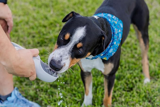 Dog Treat Pouch For Training - Silicone Easy Clean - Includes Water Bottle & Tug Toy - Hands-Free Walking Accesories for Dog Moms