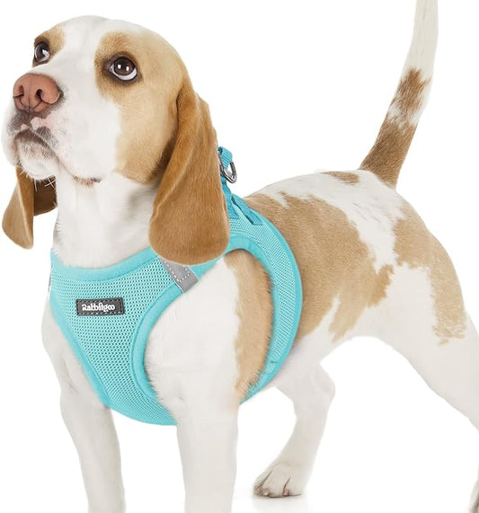 rabbitgoo Small Dog Harness, Step-in Soft Mesh Puppy Vest with Safety Buckle, Breathable Reflective Pet Harness for Small Sized Dogs, Mint Blue M