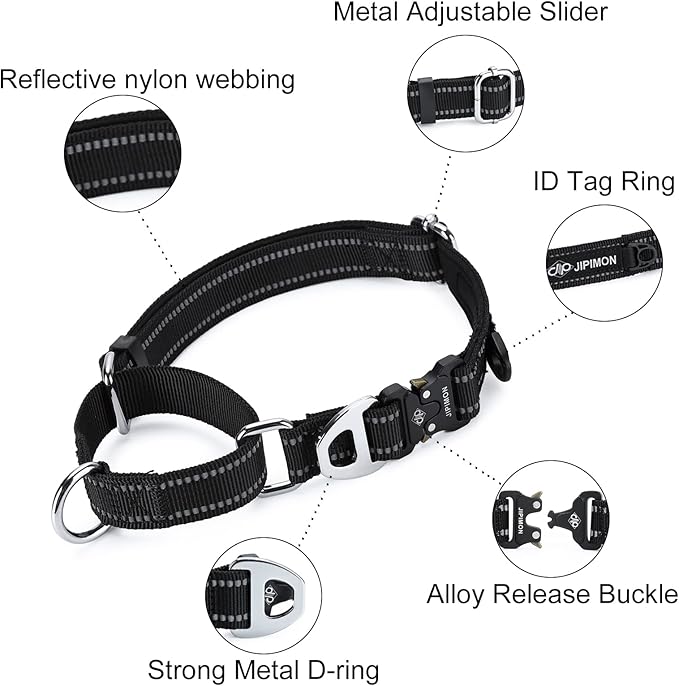 Martingale Dog Collar Reflective Nylon Soft Cushion with Alloy Buckle Dog Collar Martingale Small Medium and Large Dogs (Small, Orange)