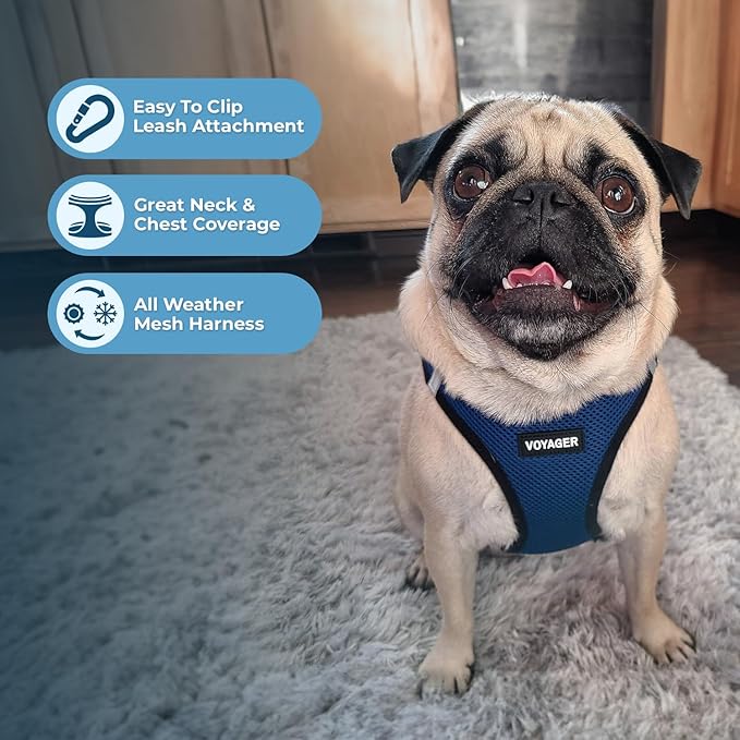 Best Pet Supplies Voyager Step-in Air All Weather Mesh Harness and Reflective Dog 5ft Leash Combo with Neoprene Handle, for Small, Medium and Large Breed Puppies - Set (Blue/Black Trim), X-Large