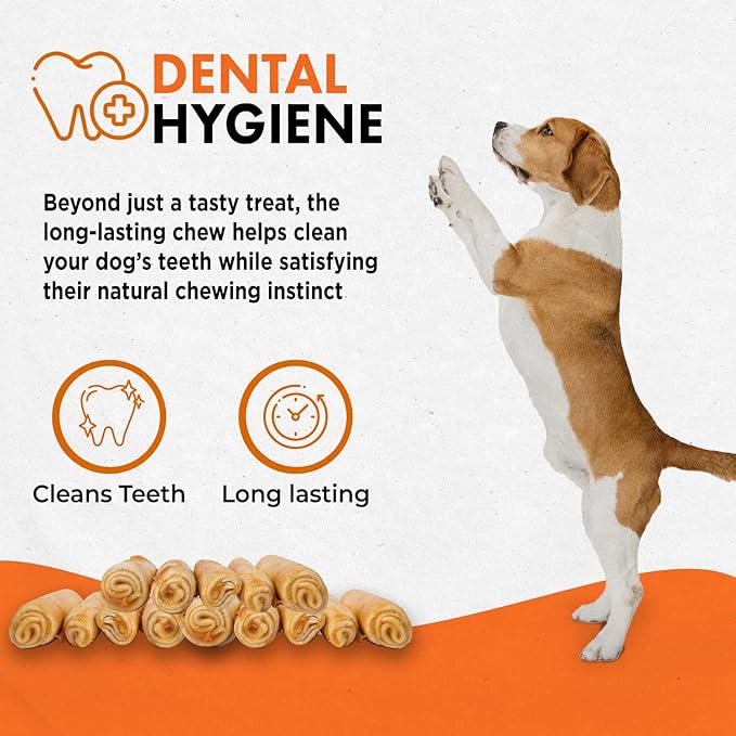 Canine Naturals Chicken Recipe Chew - Rawhide Free Dog Treats - Made from USA Raised Chicken - All-Natural and Easily Digestible - Mini (6 Count) for Dogs Under 20 lb