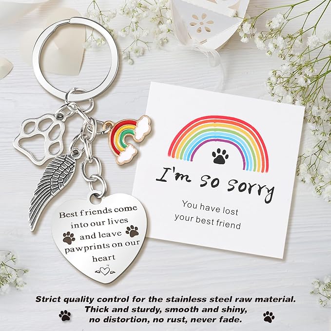 Pet Memorial Gifts, Pet Memorial Keychain, Dog Memorial Gifts, Rainbow Bridge Paw Print Presents, Sympathy Gift, Pet Lover Key Chain