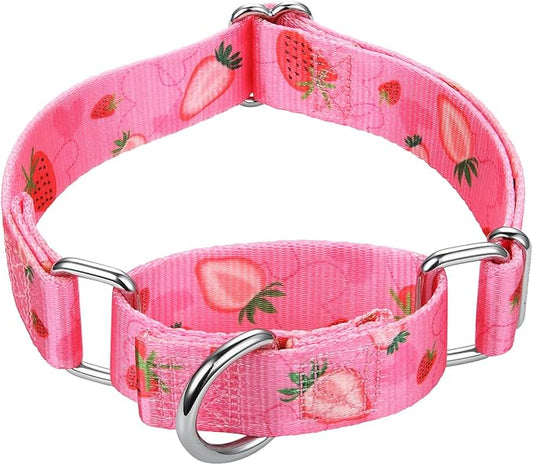 Mikivery Martingale Collar 1 inch Slip On and Off,NO Buckle Gently Tightens Medium and Large Collars