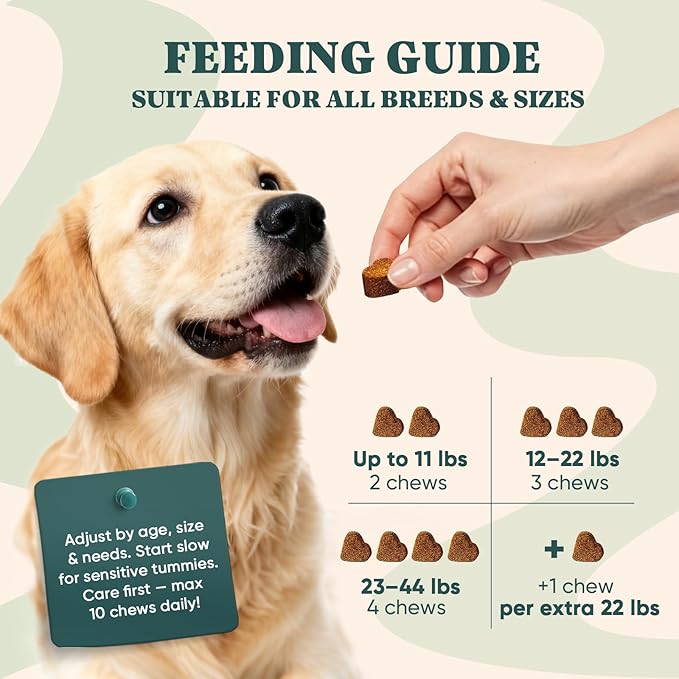 Dog Allergy Chews Omega 3 is Human,Itch Relief Multivitamin Medicine for Dogs Itching Skin Relief and Aller Immune Pet Allergy Dog Anti Itch Chews Coat Licking Supplements Pills Meds Medicine for Dogs