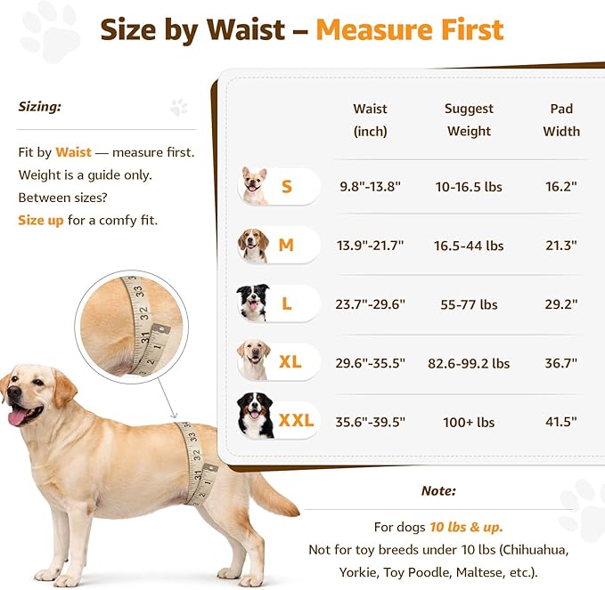 Adjustable Dog Lift Harness, Dog Sling for Large Dogs Lift Support and Rehab Harness for Weak Rear Legs, Soft Hind Leg Support Helps Senior, Injured,Disabled and After ACL Surgery Dogs(Black,X-Large)