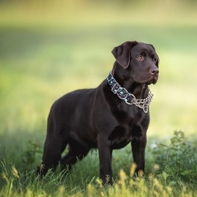 Stainless Steel Chain Martingale Collar for Dogs, No Pull Slip Cinch Choker Choke Collar Training Escape Proof Heavy Duty Dog Collar for Small Medium Large Pet Boy Male Dogs, Skull XL