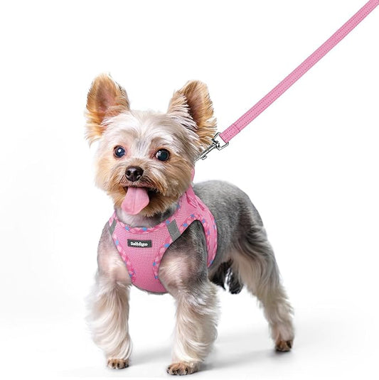 rabbitgoo Dog Harness Small Sized and Leash Set, Step in Soft Light Puppy Vest, Breathable Mesh Pet Harness, Reflective for Safe Easy Walking, Pink & Plaid Trim XS