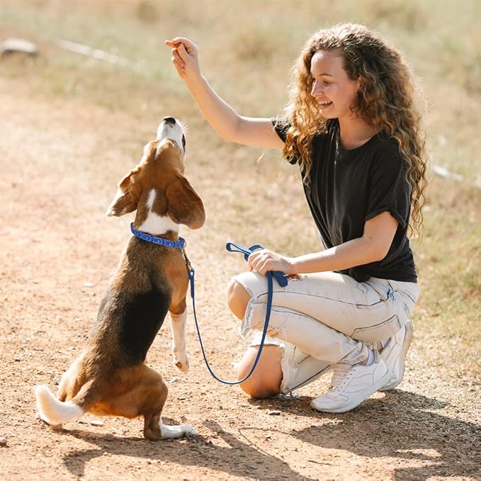 1TO3GO【Upgrade】 Adjustable Dog Training Collar with 4 Extra Links for Medium, Large and X-Large Dogs, Suitable for Dogs with Neck Sizes of 16 Inches or Larger (Seamless Ring)