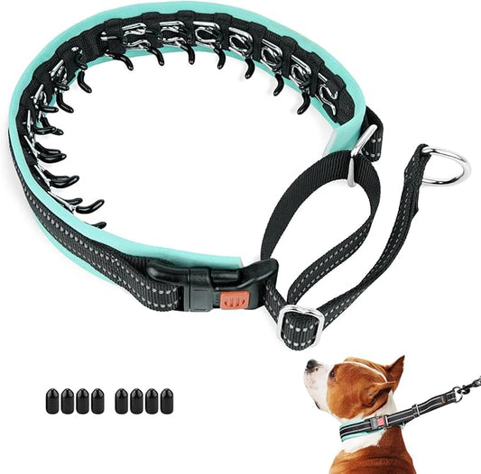 Mayerzon Martingale No Pull Collar for Medium Large Dogs, Patented Anti Pull Dog Collar with Buckle for Walking Training, with Neoprene Padding and Reflective Stitching, Adjustable(Teal Trim, L)