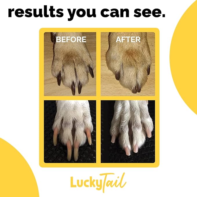 LUCKY TAIL - Dog Nail Grinder - Hard & Soft Replacement Heads - Small & Large Dogs - Premium Quality - Diamond Tip Drill Bit - Professional Dog Nail Trimmers - Grooming Tool kit - 2 Pack